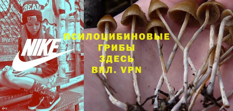 закладки  Углич  блэк спрут зеркало  Галлюциногенные грибы MAGIC MUSHROOMS 